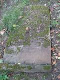 image of grave number 549409